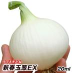 種 野菜たね タマネギ (超極早生)新春玉葱EX 1袋(20ml) 玉葱 玉ねぎ 野菜の種 国華園