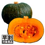 ( скорейший предварительный заказ распродажа ..) вид овощи .. тыква F1. помутнение юг .1 пакет (10 шарик ) скидка за ранний заказ /26 год весна отправка [ стоимость доставки группа :R50T9]