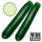 ( скорейший предварительный заказ распродажа ..) вид овощи .. кабачок F1 Zelda * Nero 1 пакет (10 шарик ) скидка за ранний заказ /26 год весна отправка [ стоимость доставки группа :R50T9]