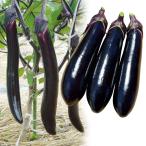  контактный дерево овощи рассада nas специальный отбор nas комплект 2 вид 4 АО ..set....... страна ..