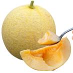 接木野菜苗 メロン 接�