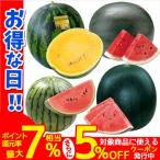 接木野菜苗 スイカ苗 接木人気スイカ苗お試しセット 4種8株(送料無料) 9cmポット set 人気 国華園