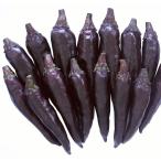  вид овощи ..tougalasi фиолетовый перец стручковый 1 пакет (30 шарик ) красный острый перец .... вид страна ..