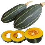 種 野菜たね ミニカボチャ F1クリン�