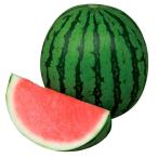 ショッピングスイカ 種 野菜たね スイカ F1ナツイチ 1袋(7粒)