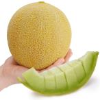 種 野菜たね メロン F1ガリアメロンJ