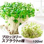 種 野菜たね ブロッコリースプラウト 1袋（100ml） 送料無料 水だけで栽培できる 簡単 夏休み 自由研究にも 国華園