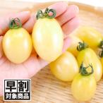 ( скорейший предварительный заказ распродажа ..) вид овощи .. мини помидоры F1 TYp Limo белый 1 пакет (6 шарик ) белый помидор белый кожа скидка за ранний заказ /26 год весна отправка [ стоимость доставки группа :R50T9]