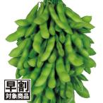 ( скорейший предварительный заказ распродажа ..) вид овощи ..edamame бог способ .PVP(R) 1 пакет (40ml)..... ветка бобы скидка за ранний заказ /26 год весна отправка [ стоимость доставки группа :R50T9]