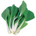 種 野菜たね 世界の野菜 パクチョイ 1袋（10ml） やさ