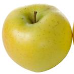  фруктовое дерево рассада яблоко si nano Gold 1 АО 