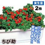 商品画像3