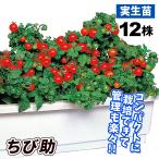商品画像3