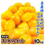 みかん 10kg 天水みかん 熊本産 送料無料 食品