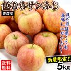  страна .. яблоко 5kg Aomori производство цвет .. солнечный ..(12~28 шар ). для бытового использования бесплатная доставка .. фрукты еда 