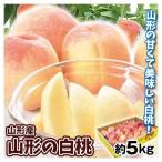 もも 大特価 山形の白桃 約5kg 山形産 ご家庭用 冷蔵便 送料無料 食品