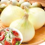  лук репчатый 10kg новый лук репчатый Awaji Island производство бесплатная доставка еда 