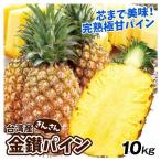 （限定入荷!）台湾パイン 約10kg 台湾産 パイナップル（6〜9玉）送料無料 パイン 台農17号 金鑚 金鑚鳳梨 きんさん 国華園【7月上旬〜発送】