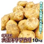  страна .. картофель 10kg большой шар kita красный li Hokkaido производство бесплатная доставка еда 