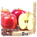 りんご 約2kg ニュージーランド産 プ