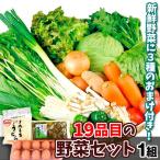 19品目のスペシャル野菜セット 1箱 16品目の国産野菜 たまご1パック付き 高菜漬け うどん 送料無料 食品