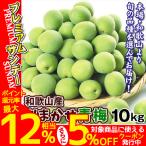 梅 おまかせ青梅 10kg 和歌山産 ご家庭用 冷蔵便 送料無料 食品