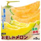メロン 山形産 庄内お楽しみメロン 約5kg 品種おまかせ 赤肉 青肉 送料無料 食品