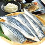 さば 骨取り 特大トロさば 約1kg  無