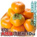 柿 約10kg 次郎 大特価 愛知産 ご家庭用 訳あり 送料無料 食品