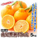 みかん 和歌山産 南紀�