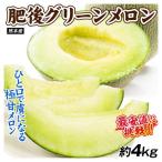 メロン 熊本産 肥後グリーンメロン 約4kg 送料無料 食品