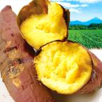 さつまいも 10kg 紅はるか 訳あり 九州産 ご家庭用 送料無料 食品