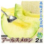 メロン 2玉 アールスメロン 3L 産地おまかせ ご家庭用 送料無料 食品