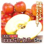 りんご 青森産 超特価 サンふじ 5kg ご家庭用 送料無料 食品