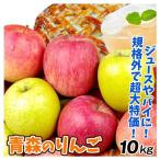 りんご 青森産 加工用ミックスりんご 10kg 訳あり 1〜3品種混合 送料無料 食品