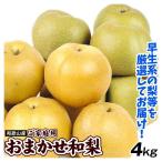 梨 4kg おまかせ和梨 和歌山産 ご家庭用 送料無料 食品