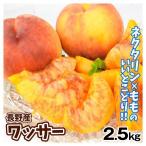 もも 2.5kg ワッサー 長野産 ご家庭用 果物 フルーツ 青果 送料無料 食品