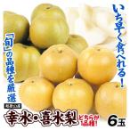 なし 6玉 幸水梨 喜水梨 和梨 和歌山産 1品種 ご家庭用 (7月下旬〜発送)送料無料 食品