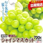 ぶどう 約700g 超・早出し シャインマスカット 福岡産 ご家庭用 350g前後×2パック 種なし(7月中旬出荷開始)皮ごとOK 送料無料 食品
