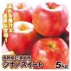ショッピング果物 りんご 5kg ご家庭用 シナノスイート 長野産 林檎 果物 送料無料 食品 爆買