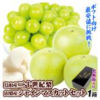 果物セット 鳥取産 二十世紀梨＆山梨産 シャインマスカット セット 梨 ぶどう 詰め合わせ ギフト フルーツ 送料無料 食品