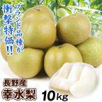 梨 10kg 幸水梨 長野産 ご家庭用 ナシ なし 和梨 名産地 送料無料 食品