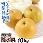 梨 10kg 南水梨 長野産 ご家庭用 ナシ なし 赤梨 和梨 名産地 送料無料 食品