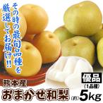梨 約5kg(15~30玉) 優品 おまかせ和梨 熊本産 豊水 幸水 あきづき 新高 秋麗など 旬の品種を厳選してお届け 送料無料 食品