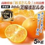 みかん 5kg 美味まどんな 愛媛産 紅まどんなと同品種 ご家庭用 あいか ミカン 送料無料 食品