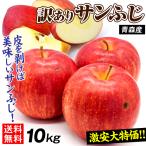 ショッピング果物 りんご 10kg 訳ありサンふじ 青森産 ご家庭用 送料無料 食品