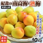  слива 10kg. север. юг высота слива . слива Wakayama производство . для бытового использования .. обычная температура рейс бесплатная доставка еда 