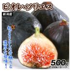  страна .. инжир примерно 500g (250g×2 упаковка )biore* санки es Niigata производство редкий товар вид высшее . редкий нет цветок .ichi ось biore санки es рефрижератор рейс бесплатная доставка еда 