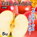  страна .. яблоко 5kg наслаждение красный яблоко Yamagata производство . для бытового использования бесплатная доставка еда [11 месяц последняя декада примерно .. последовательный отгрузка предположительно ]