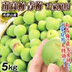  страна .. слива 5kg. для бытового использования юг высота слива * синий слива Wakayama производство бесплатная доставка еда 